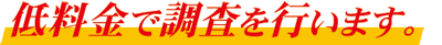 ���C�����@�ᗿ��